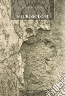 Microsolchi libro di Romagnoli Renzo