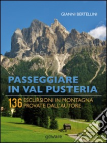 Passeggiare in Val Pusteria. 136 escursioni in montagna provate dall'autore libro di Bertellini Gianni