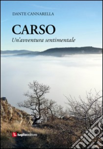 Carso. Un'avventura sentimentale libro di Cannarella Dante