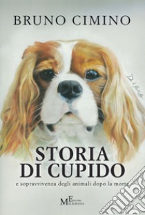 Storia di Cupido e sopravvivenza degli animali dopo la morte libro di Cimino Bruno