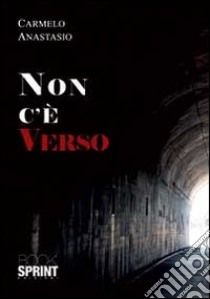 Non c'è verso libro di Anastasio Carmelo