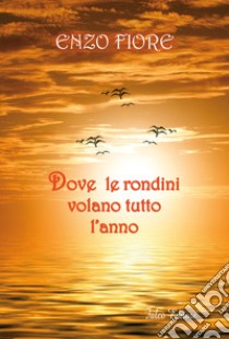 Dove le rondini volano tutto l'anno libro di Fiore Enzo