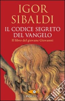 Il codice segreto del Vangelo. Il libro del giovane Giovanni libro di Sibaldi Igor