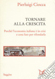 Tornare alla crescita. Perché l'economia italiana è in crisi e cosa fare per rifondarla libro di Ciocca Pierluigi