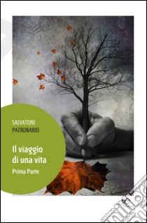 Il viaggio di una vita. Vol. 1 libro di Patronario Salvatore