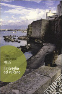 Il risveglio del vulcano libro di Melis Pina G.