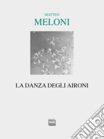 La danza degli aironi libro di Meloni Matteo