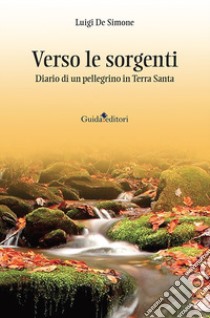 Verso le sorgenti. Diario di un pellegrino in Terra Santa libro di De Simone Luigi