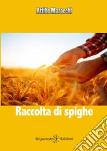 Raccolta di spighe libro di Marocchi Attilio