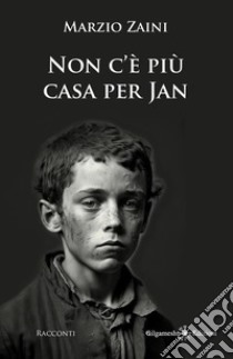 Non c'è più casa per Jan e altri racconti libro di Zaini Marzio