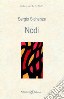 Nodi libro di Sichenze Sergio