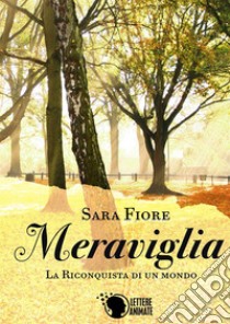 Meraviglia libro di Fiore Sara