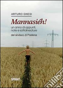 Mannasiéh! Un anno di appunti, note e sottolineature del sindaco di Pastena libro di Gnesi Arturo