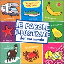 Le parole illustrate del mio mondo. I grandi libri del bebé. Ediz. illustrata libro di Clima Gabriele