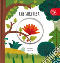 Che sorpresa! Ediz. a colori libro di Baruzzi Agnese; Clima Gabriele