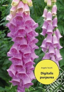 Digitalis purpurea libro di Tecchi Angelo