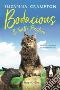 Bodacious. Il gatto pastore libro di Crampton Suzanna