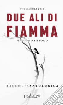 Due ali di fiamma libro di Triolo Massimo