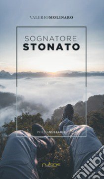 Sognatore stonato libro di Molinaro Valerio