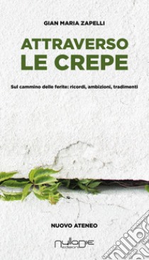 Attraverso le crepe. Sul cammino delle ferite: ricordi, ambizioni, tradimenti libro di Zapelli Gian Maria