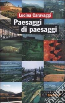 Paesaggi di paesaggi libro di Caravaggi Lucina