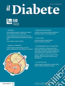 Il diabete (2017). Vol. 29 libro