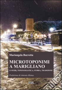 Microtoponimi a Marigliano. Luoghi, toponomastica, storia, tradizione libro di Barretta Mariangela