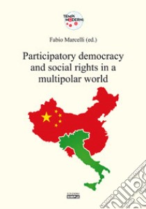 Participatory democracy and social rights in a multipolar world libro di Marcelli F. (cur.)