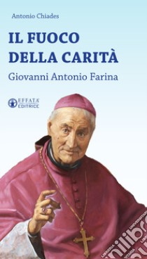 Il fuoco della carità. Giovanni Antonio Farina libro di Chiades Antonio