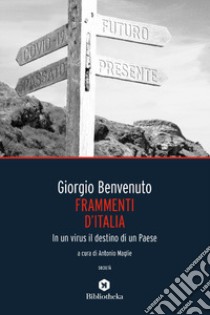 Frammenti d'Italia. In un virus il destino di un Paese libro di Benvenuto Giorgio; Maglie A. (cur.)