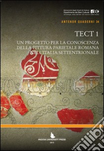 Tect 1. Un progetto per la conoscenza della pittura parietale romana nell'Italia settentrionale libro di Salvadori M. (cur.); Scagliarini D. (cur.)