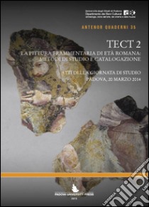 TECT 2. La pittura frammentaria di età romana: metodi di studio e catalogazione libro di Salvadori M. (cur.); Didonè A. (cur.); Salvo G. (cur.)