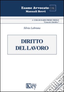 Diritto del lavoro libro di Labruna Silvia