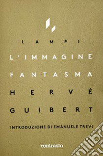 L'immagine fantasma libro di Guibert Hervé