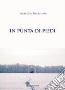 In punta di piedi libro di Beltrame Alberto