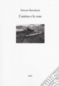 L'anima e le cose libro di Bartolozzi Simone