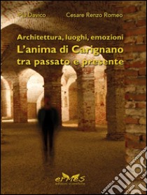 Architettura, luoghi, emozioni. L'anima di Carignano tra passato e presente. Ediz. illustrata libro di Davico Pia; Romeo Cesare Renzo