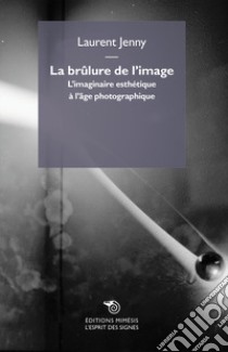 La brulure de l'image. L'imaginaire esthétique à l'âge photographique libro di Jenny Laurent