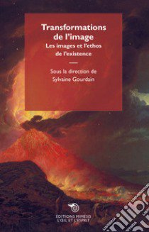 Transformations de l'image. Les images et l'ethos de l'existence libro di Gourdain S. (cur.)