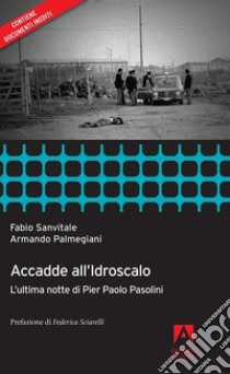 Accadde all'idroscalo. L'ultima notte di Pier Paolo Pasolini libro di Sanvitale Fabio; Palmegiani Armando