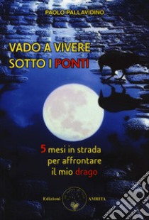 Vado a vivere sotto i ponti. 5 mesi in strada per affrontare il mio drago libro di Pallavidino Paolo