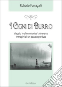 I cigni di burro. Viaggio «malinconico» attraverso immagini di un passato perduto libro di Fumagalli Roberto