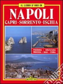 Napoli. Capri. Sorrento. Ischia libro di Valdés Giuliano