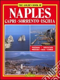 Napoli. Capri. Sorrento. Ischia. Ediz. inglese libro di Valdés Giuliano