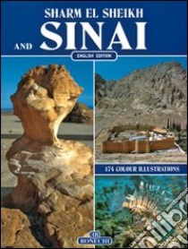 The peninsula of Sinai libro di Magi Giovanna