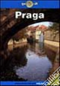 Praga libro di King John; Nebesky Richard