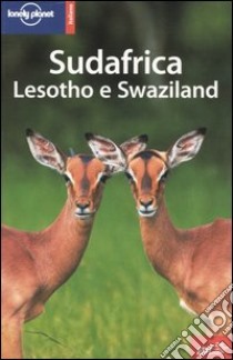 Sudafrica. Lesotho e Swaziland libro