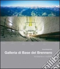 Galleria di base del Brennero libro di Bergmeister Konrad