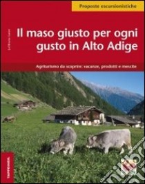 Alto Adige. Il maso giusto per ogni gusto libro di Laner Jul Bruno