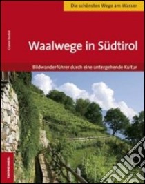 Waalwege in Südtirol libro di Bodini Gianni